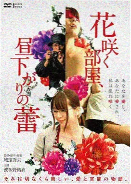 王昭君落雁西汉出塞和亲档案图